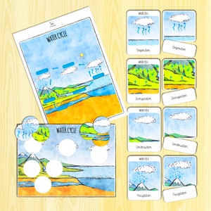 Water Cycle