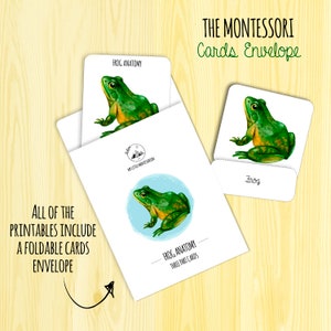Peut inclure: Une enveloppe de cartes Montessori imprimable avec une illustration de grenouille. L'enveloppe comprend trois cartes&nbsp;: une carte d'anatomie de grenouille, une carte d'image de grenouille et une carte de mot qui dit&nbsp;&laquo;&nbsp;Grenouille&nbsp;&raquo;. Le texte &laquo;&nbsp;THE MONTESSORI Cards Envelope&nbsp;&raquo; est en haut de l'image. Le texte &laquo;&nbsp;ALL OF THE PRINTABLES INCLUDE A FOLDABLE CARDS ENVELOPE&nbsp;&raquo; est en bas de l'image.