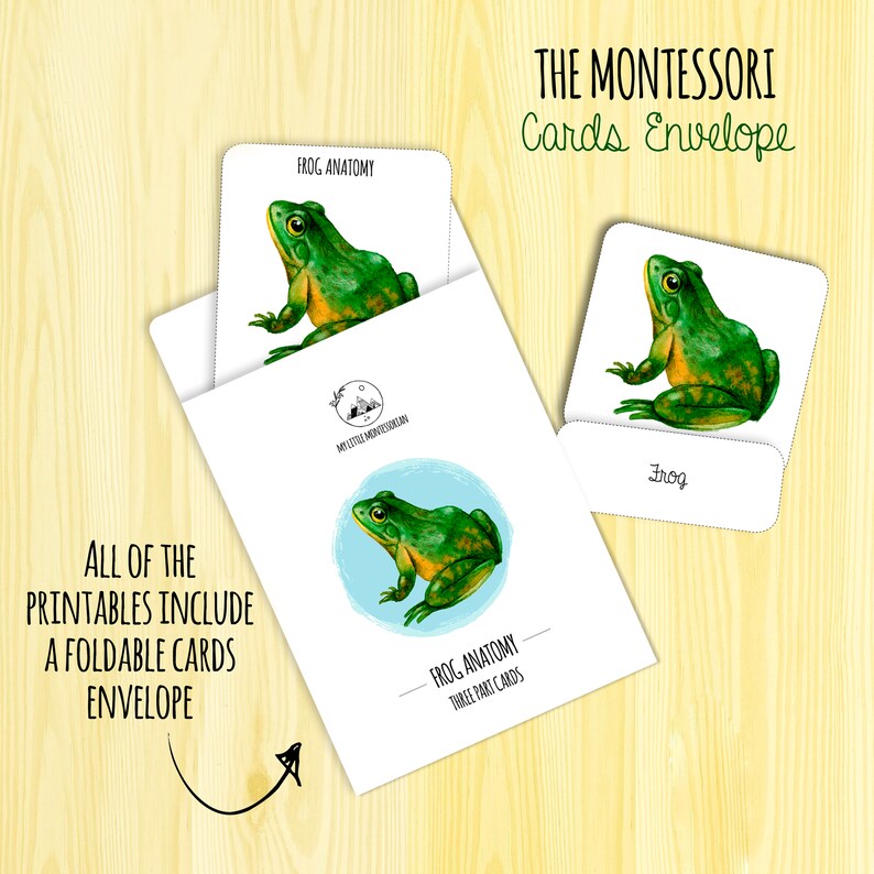 Peut inclure: Une enveloppe de cartes Montessori imprimable avec une illustration de grenouille. L'enveloppe comprend trois cartes&nbsp;: une carte d'anatomie de grenouille, une carte d'image de grenouille et une carte de mot qui dit&nbsp;&laquo;&nbsp;Grenouille&nbsp;&raquo;. Le texte &laquo;&nbsp;THE MONTESSORI Cards Envelope&nbsp;&raquo; est en haut de l'image. Le texte &laquo;&nbsp;ALL OF THE PRINTABLES INCLUDE A FOLDABLE CARDS ENVELOPE&nbsp;&raquo; est en bas de l'image.