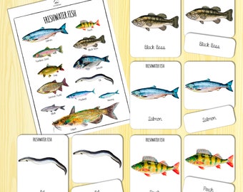 Freshwater Fish