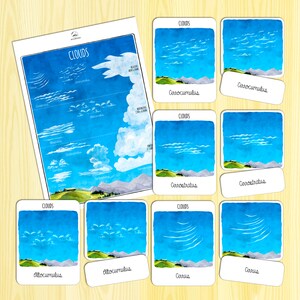 May include: A printable educational chart with illustrations of different types of clouds, including cirrus, cumulus, stratus, altocumulus, altostratus, cirrocumulus, cirrostratus, and cumulonimbus. The chart is labeled with the names of each cloud type.