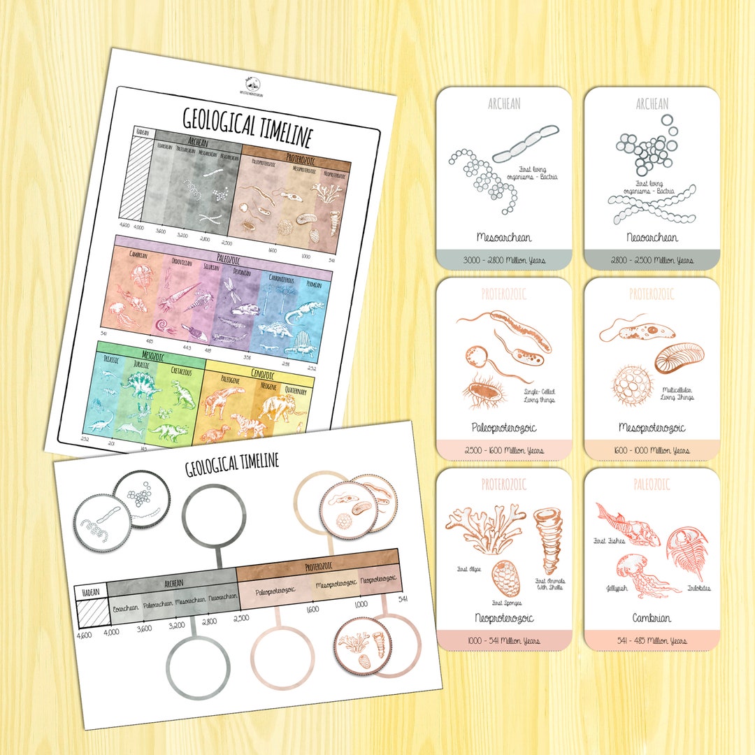 Geological Timeline - Etsy