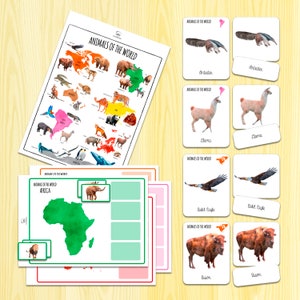 Animals of the World