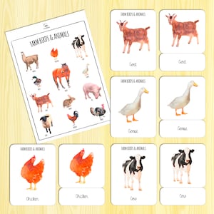 Farm Birds & Animals