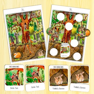 Forest Animal Homes