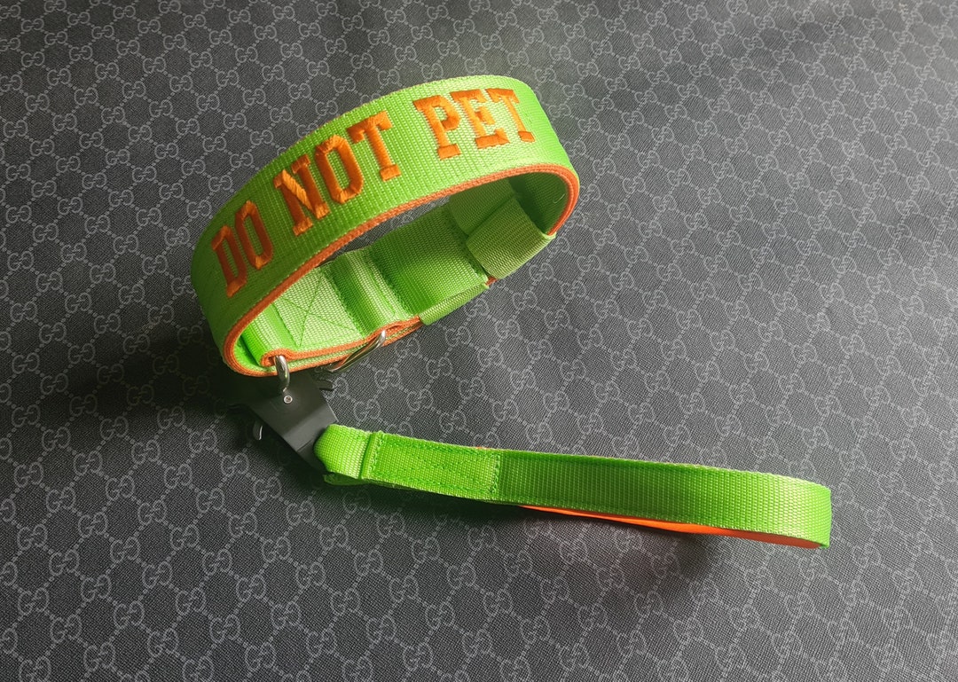 STRONG Dog Collar and Lead Set 50mm Etsy