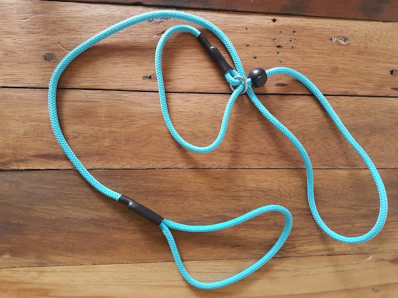 May include: A turquoise blue rope dog leash with black accents and a metal ring. The leash is coiled on a wooden surface.