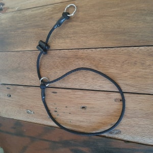 May include: A black rope dog collar with a silver metal ring and a black plastic clip.