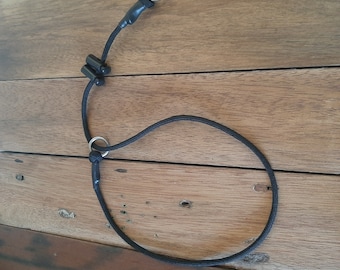 Training slip collar 4mm paracord 750