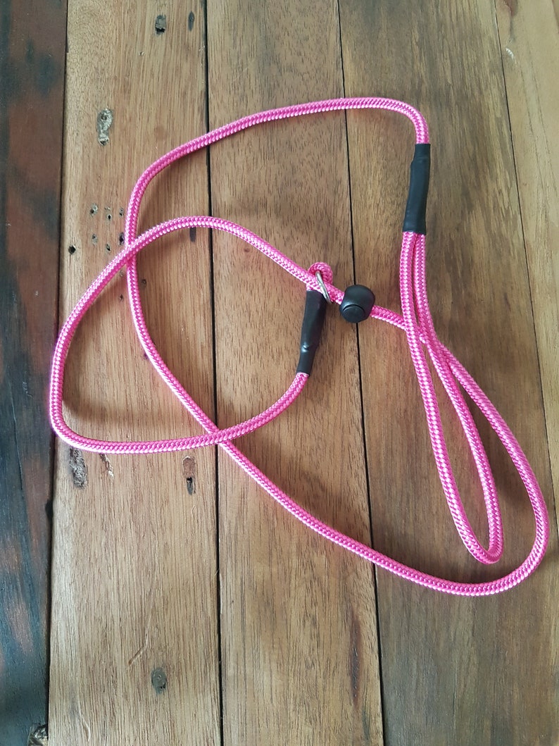 May include: A pink dog leash with a black clip and a black handle.