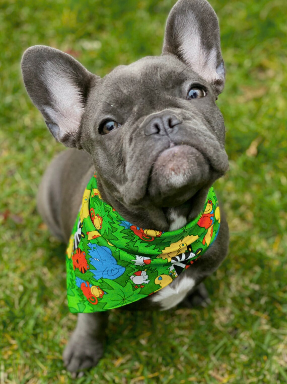 Dog bandana Jungle dog bandana // Dog scarf // Bandana for | Etsy