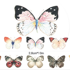 1 roll of designer washi tape masking tape: Beautiful Butterfly ,insect, transformation, elegant dancer, art of the nature, butterfly wings