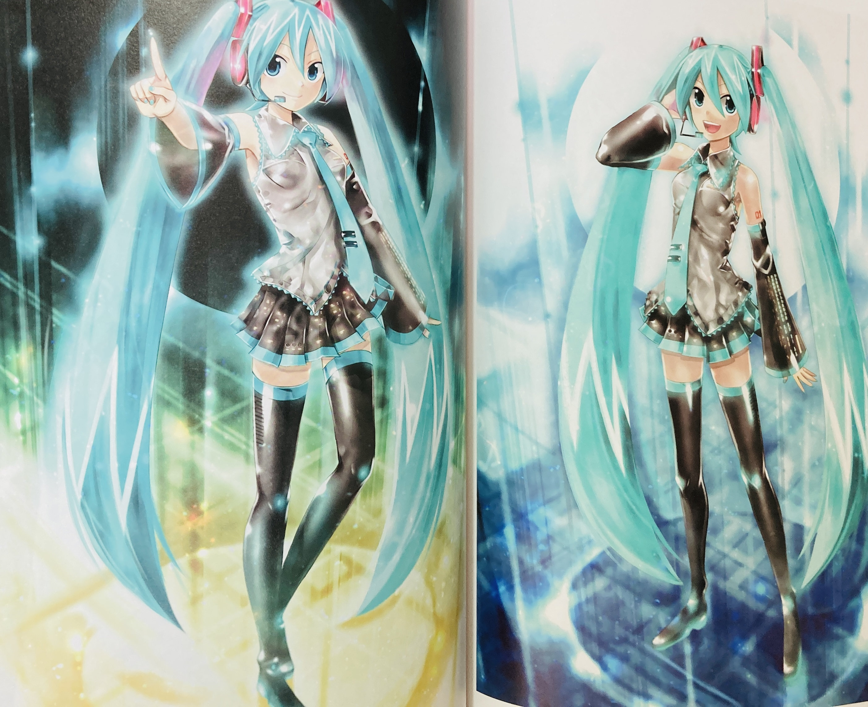 版画 花園 アールビバン　初音ミク絵師　KEI 直筆サイン KEI 直筆サイン入りカラー複製イラスト / 初音ミク