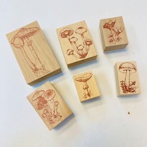 6 pcs de jolie forêt de champignons champignon, illustration vintage. Tampons en bois pour tampons artistiques en forme de champignon
