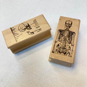 Wooden Rubber Stamps: human anatomy, medical student stamp, skull ,human skeleton , medical understanding, scrapbooking & card making, lines