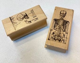 手彫りの人体ゴムスタンプセット：教育用解剖学スタンプ - Etsy 日本