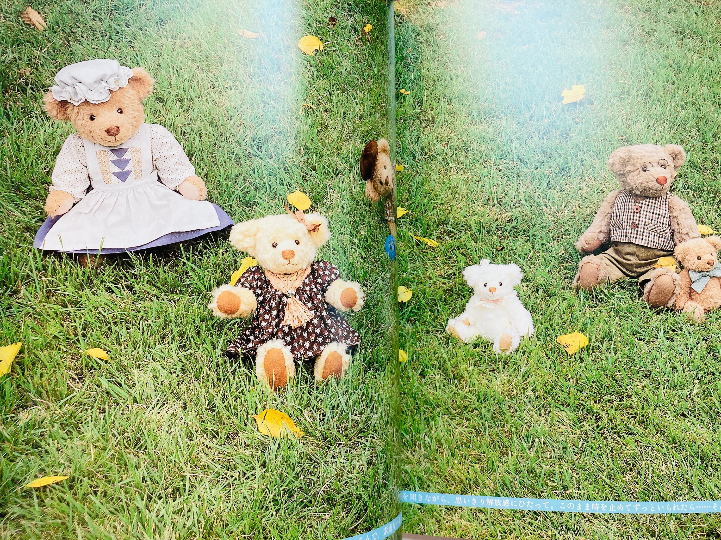 Making My Own Teddy Bear by Hiromi Fukumura- Japanese Craft Book