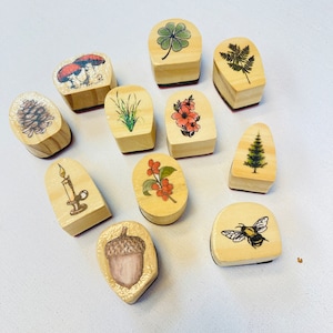 Un timbro di gomma di legno (scegline 1): ape, pino, fungo, fungo velenoso, candela, trifoglio, erba, ghianda, pigna, frutta, fiore, foglia