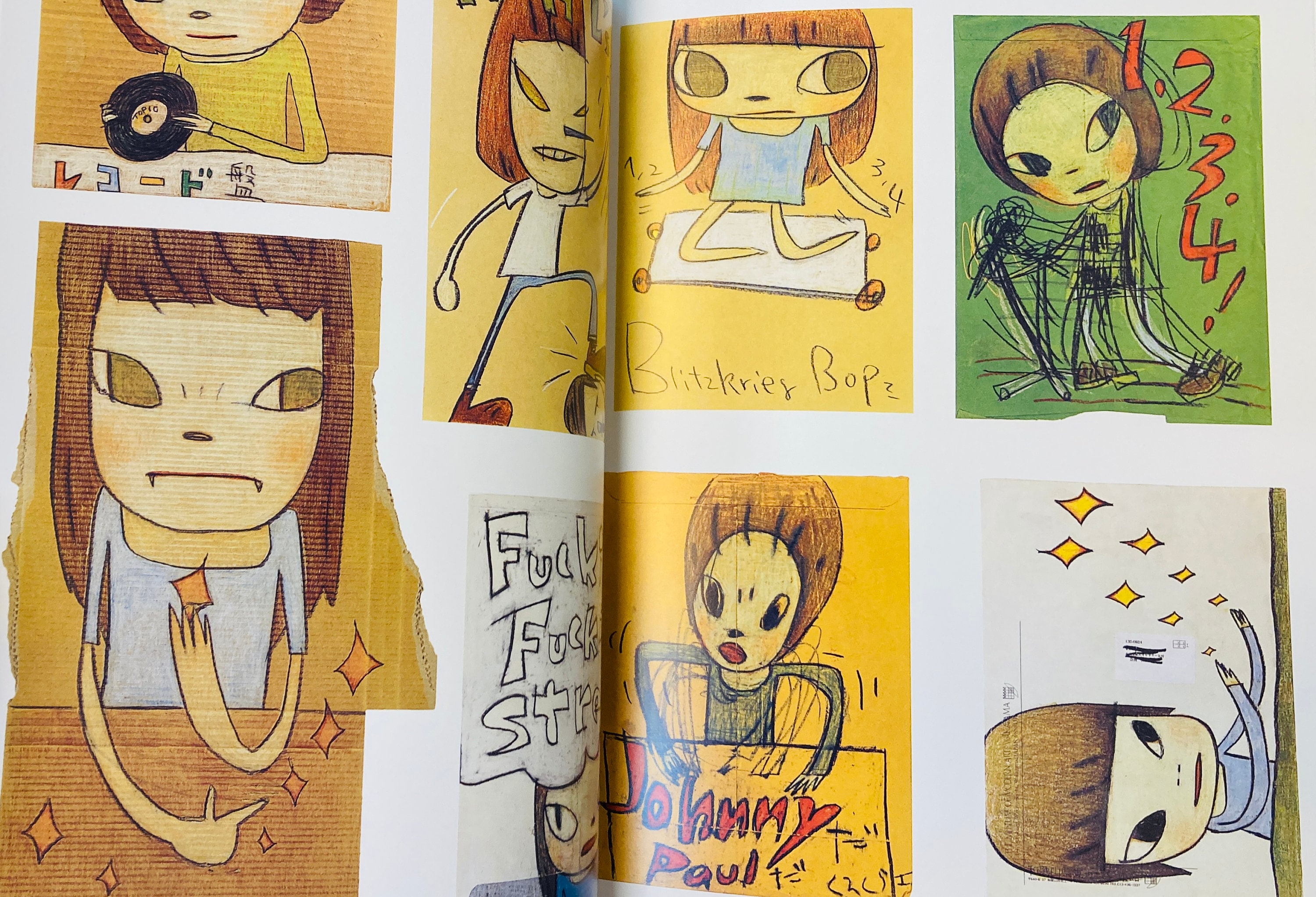 Collectible Art Book of Nara Yoshitomo by Mika Yoshitake Japanese