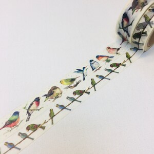 Fita washi de pássaros coloridos, pássaros em arame, fita adesiva, pássaros de penas coloridas, pássaros canoros, arte, fita washi para amantes de pássaros, suprimentos de planejador, 2 rolos