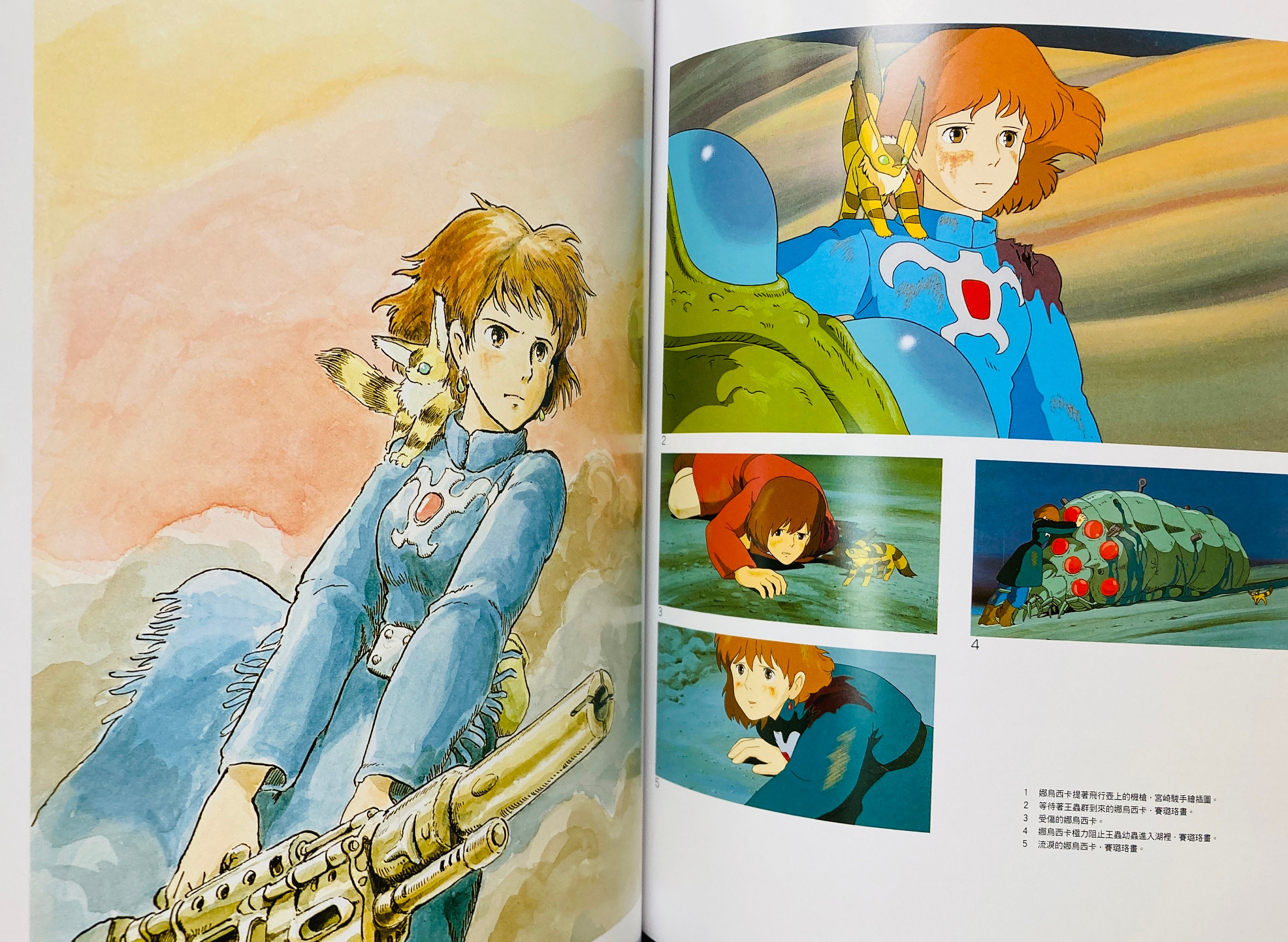 Ghibli Studio the Art of Nausicaa Valley of the Wind Creation - Etsy