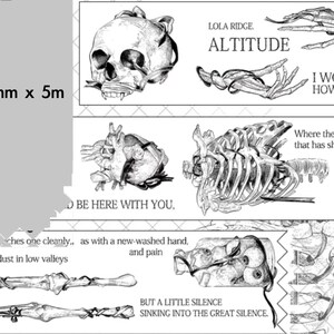 Bone Anatomy Washi tape Bone Heart Rib art scientific illustration masking tape  Train railway train trip transportation taking a journey