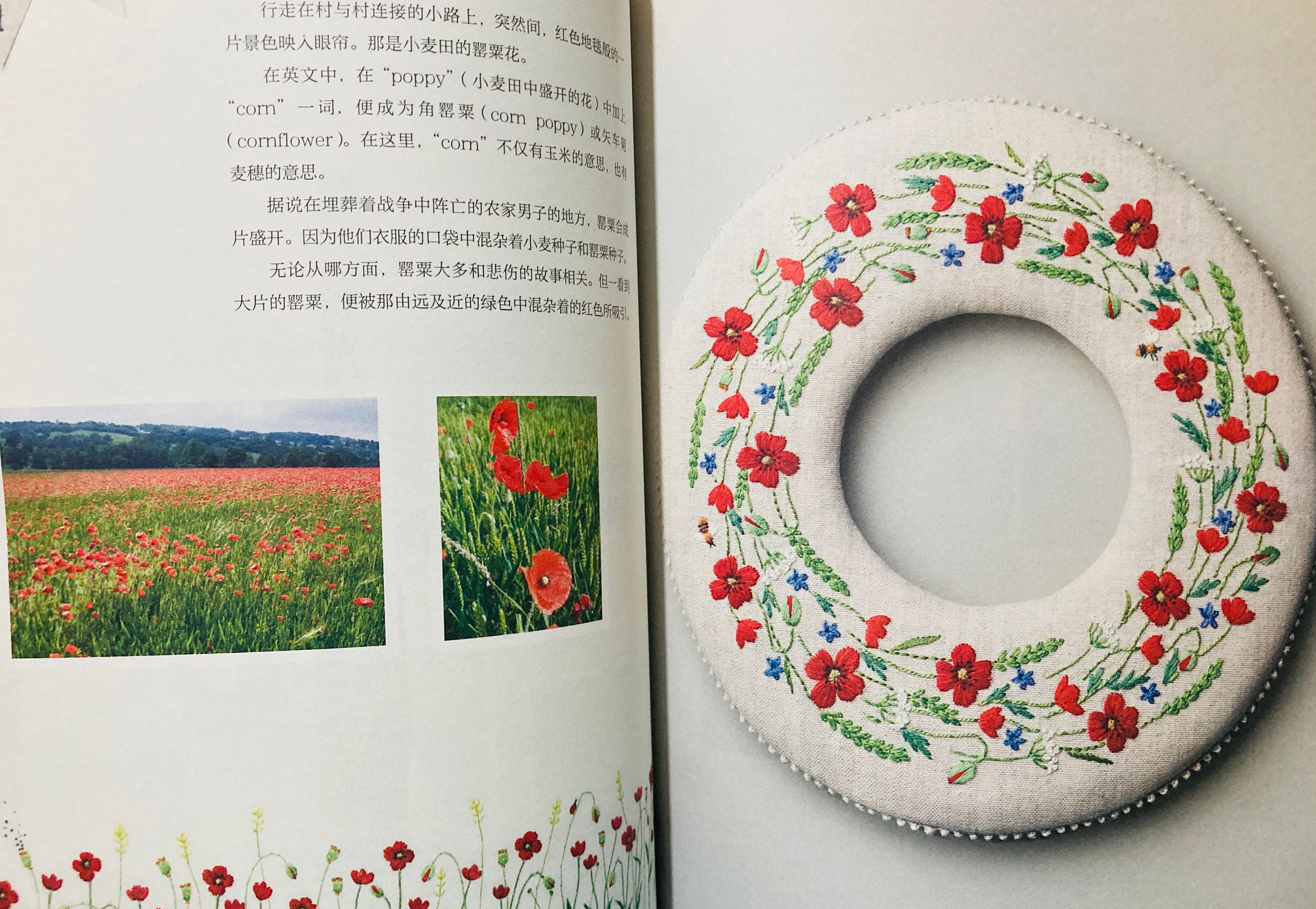 Kazuko Aoki Stitch of Cotswolds and Lakes Visiting Peter Rabbit's