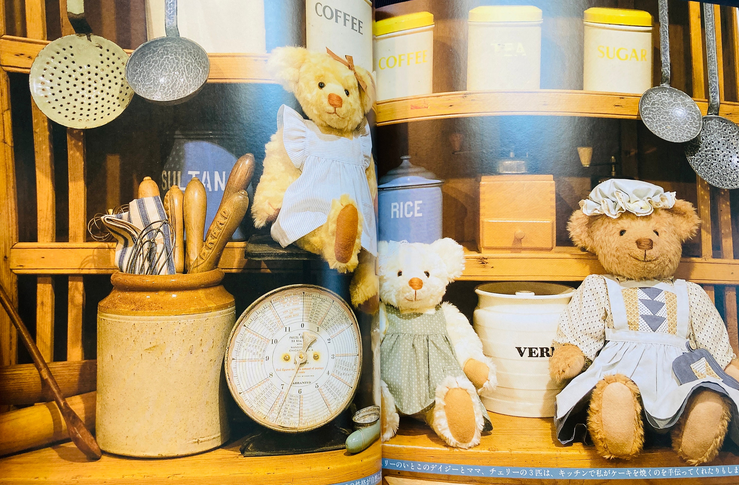 Making My Own Teddy Bear by Hiromi Fukumura- Japanese Craft Book