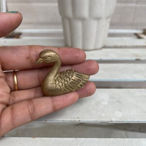May include: A small, gold-colored brass swan figurine. The swan is depicted in a swimming pose with its head turned to the side.