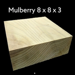 MULBERRY 8 X 8 X 3 Bowl Wood Lathe Turning Blanks