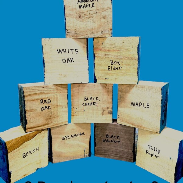 8 Assorted 6 X 6 X 3 BOWL TURNING BLANKS Lathe Wood Lathe
