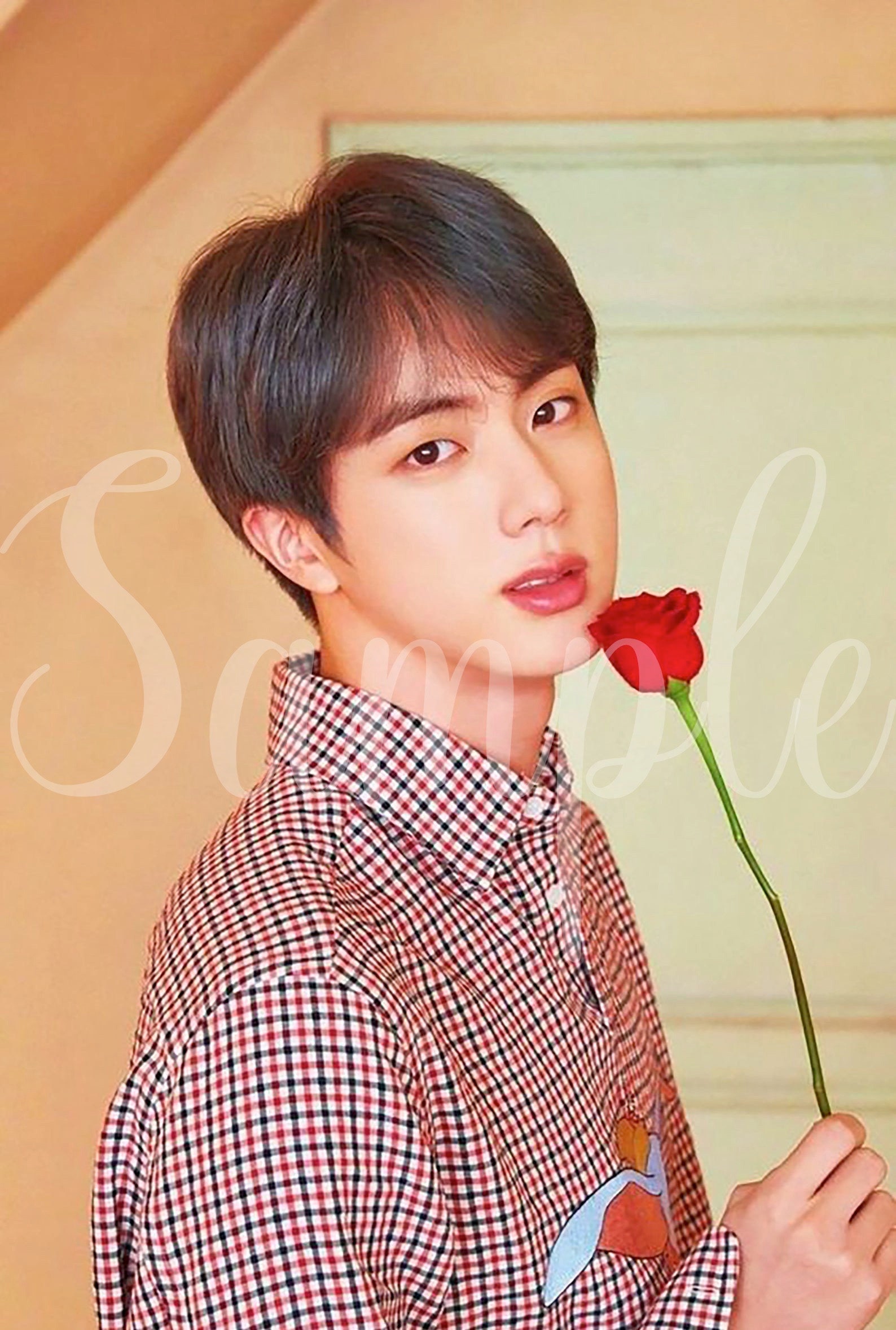 BTS JIN aka World Wide Handsome - Etsy 日本
