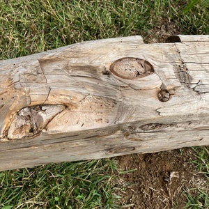 May include: Close-up of a weathered wooden beam with several knots and a rough texture. The beam is light brown in color and has a natural, rustic look.
