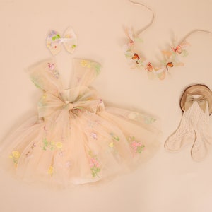 May include: A pale pink tulle dress with floral embroidery, a matching headband with floral accents, and a pair of white crocheted socks.