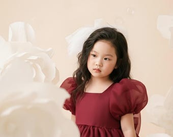 Christmas Elegant Red Sparkly Organza Puffy Sleeves Winter Birthday Infant Flower Girl,Wedding Girl Dress, Birthday Dress,Winter Outfit