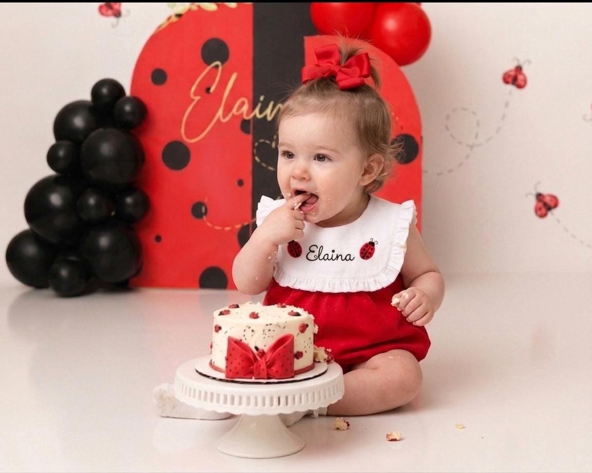Ladybug 1st Birthday Dress