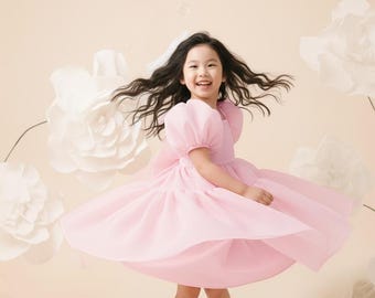 Blush Pink Organza Prom Gown, Special Occasion Baby Dress, Smash Cake Photoshoot, Birthday Toddler Dress, Flower Girl Dress, Puffy Sleeve
