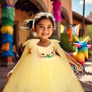 Mexican Traditional Baby Girl Tulle Dress | Bohemian Embroidered Chanelito Dress | Ethnic Style Girl Photo Shoot 5 De Mayo Mexican Primavera