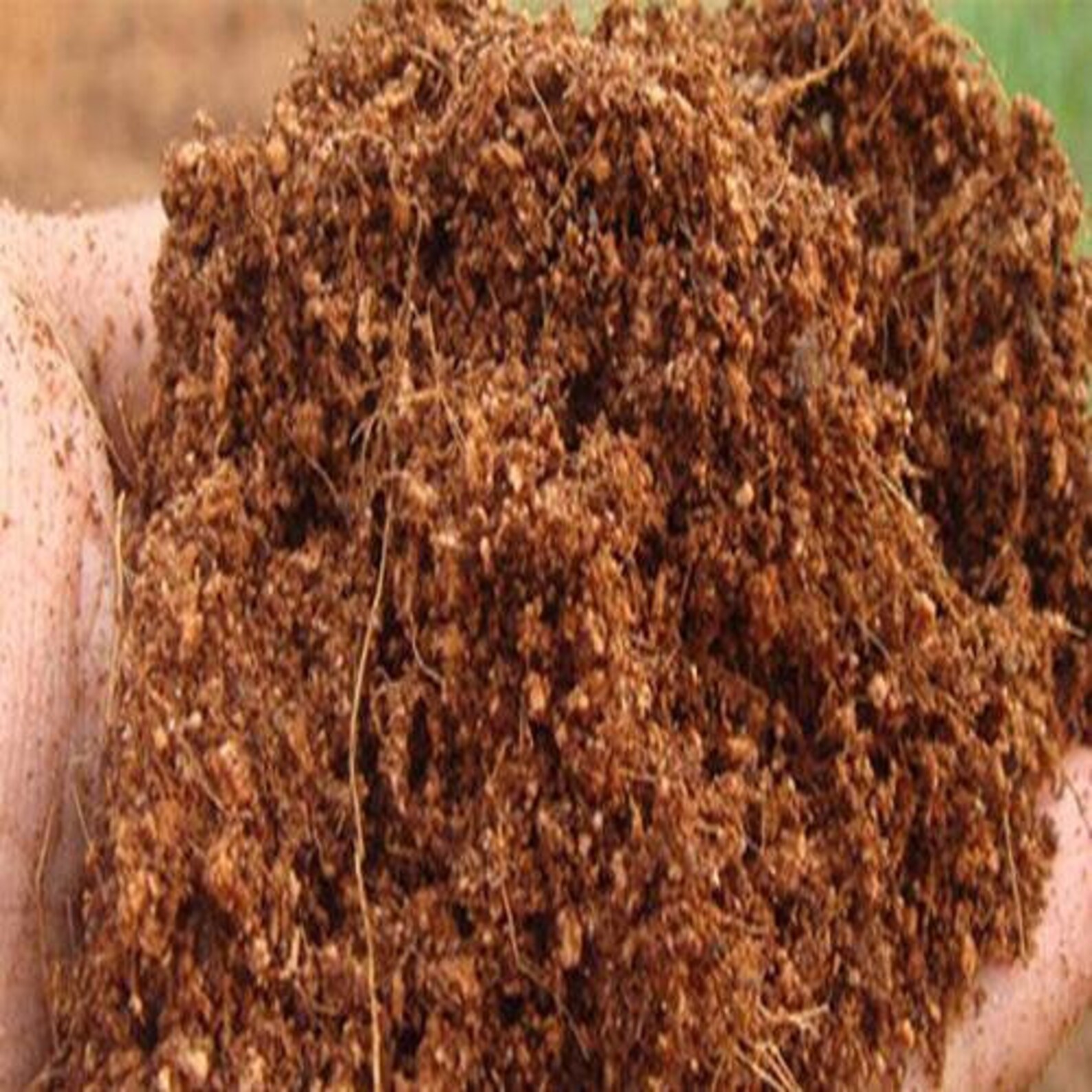 500g Coconut Peat/Coco Peat/Coco Coir/Natural Compost/ Etsy
