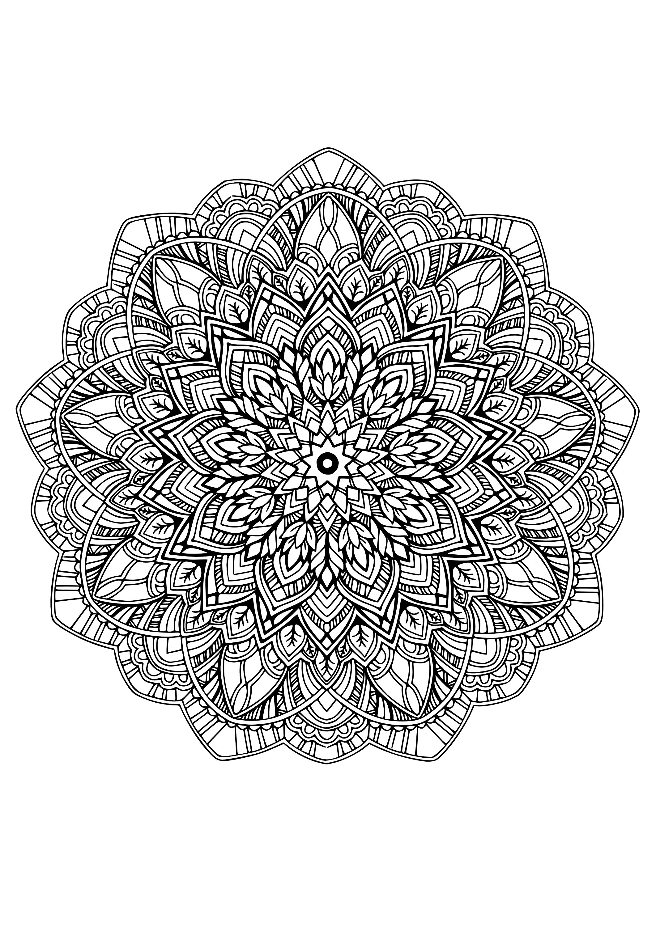 Adult Inspirational Coloring Page - Etsy