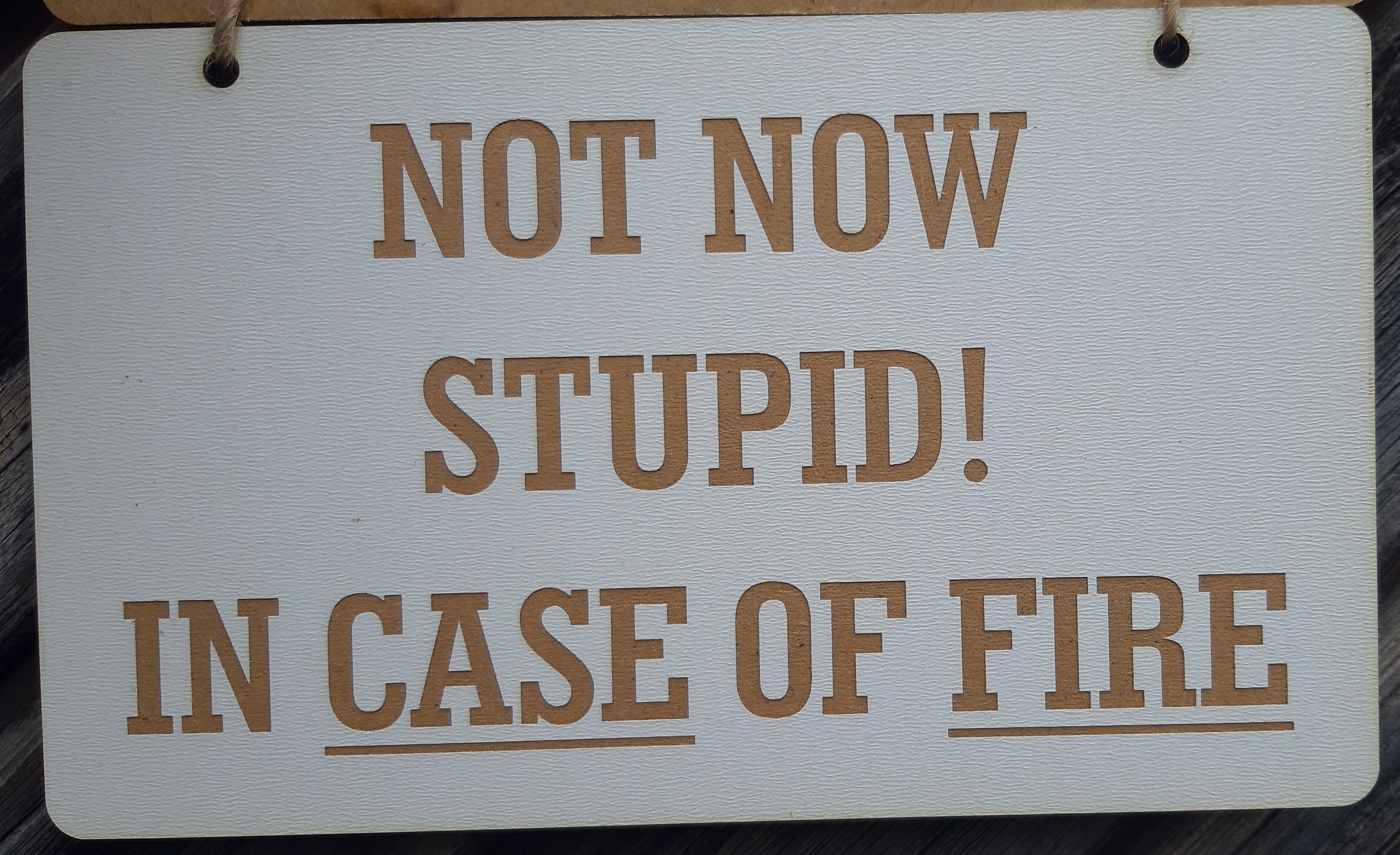 In Case of Fire Raise This Flap Not Now Stupid in Case of Fire Etsy