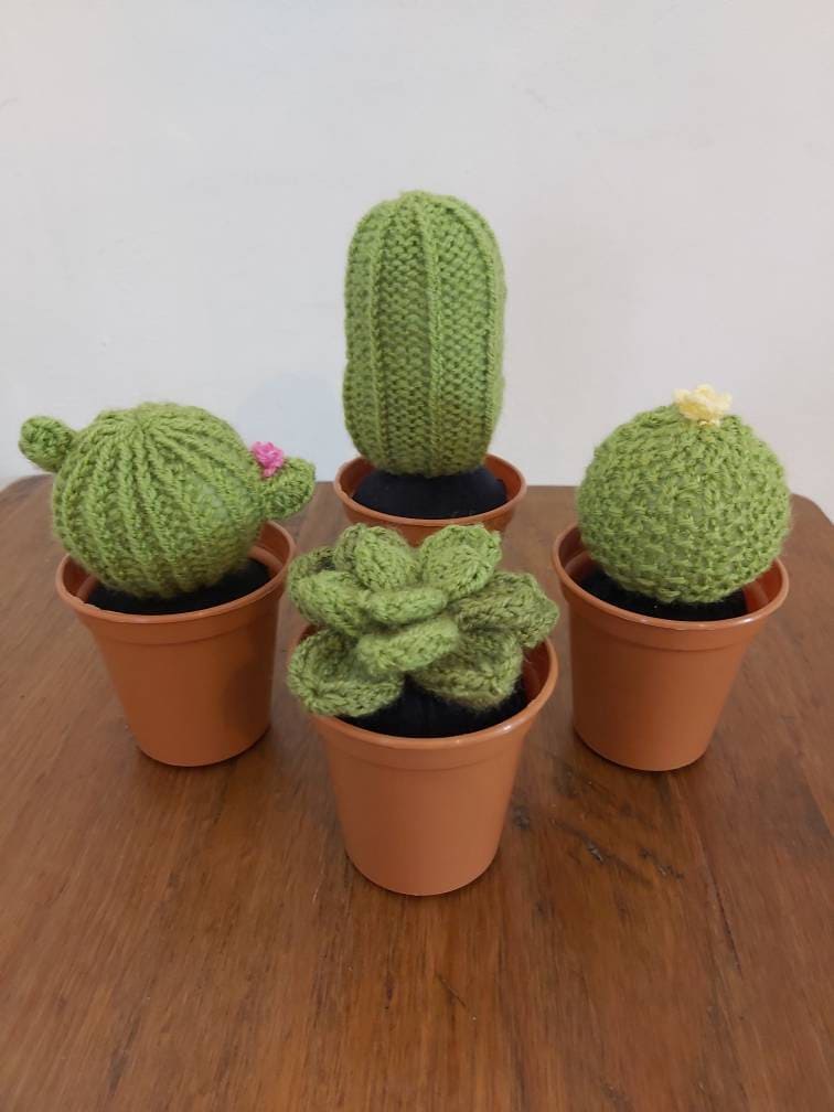 Handmade Bespoke Alternative Gift Knitted Succulents Cactus Cacti  Artificial Plant Lover Personalised, Anniversary, Mother's Day, Pride - Etsy