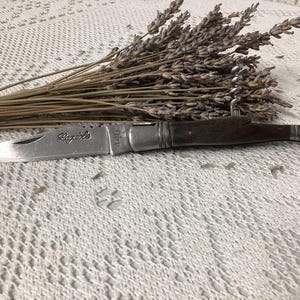 オールドガーバー　French  Antique French Knife - Etsy Canada