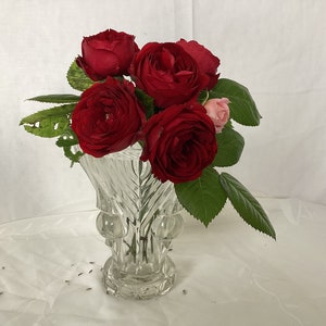 May include: A bouquet of red roses and a single pink rose in a clear glass vase with a decorative pattern. The vase is on a white tablecloth.