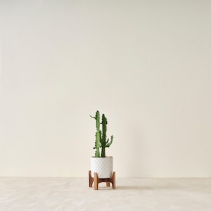 Handmade Walnut Wood Plant Stand, Mid Century Modern Minimalist Stand ...