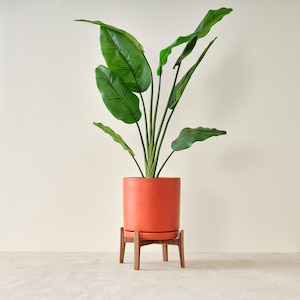 Mid-Century Blumenbank