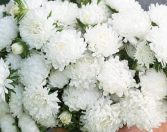 25/50ct White China Aster-Tower White Seed-Sold by Farmlander