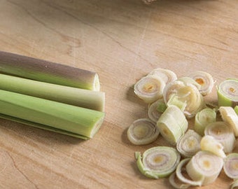 Lemongrass, East Indian-10ct/20ct Seed-Sold by Farmlander