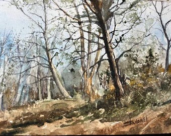 Original Watercolor Painting, Into the Woods Landscape, Handmade, Hand-Painted (7x10.2)