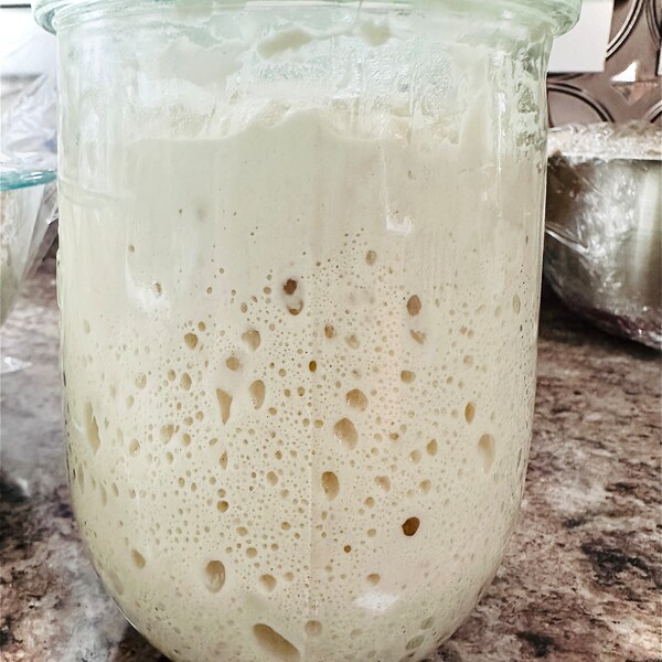 FRESH Organic Live Sourdough Starter